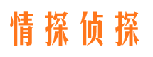 长江新区市场调查